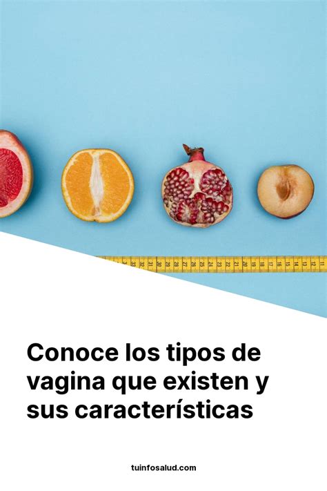 imagenes de vajinas|Los 10 tipos de vagina (y sus características) .